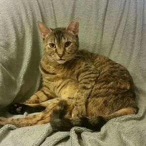 Meet your Posher, Susan